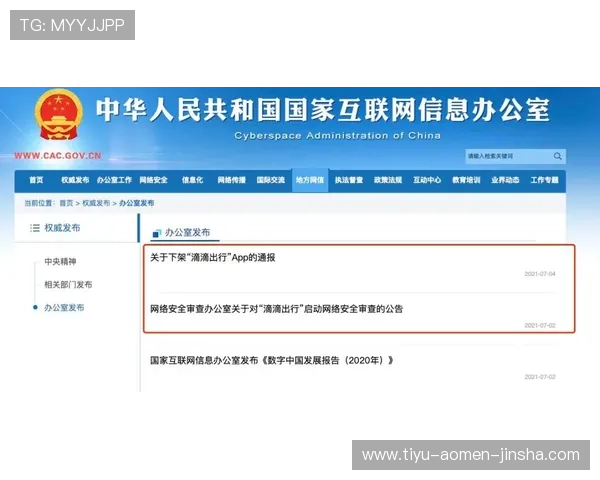 快速访问金沙平台网址的安全通道，保障您的每一次游戏体验