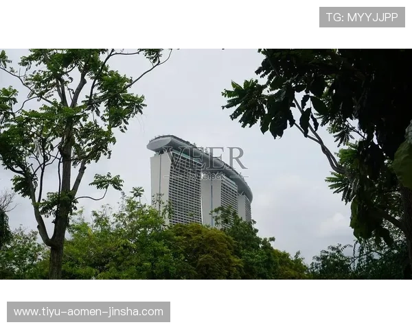 滨海湾金沙娱乐城赌场玩法详解与赢钱技巧分享