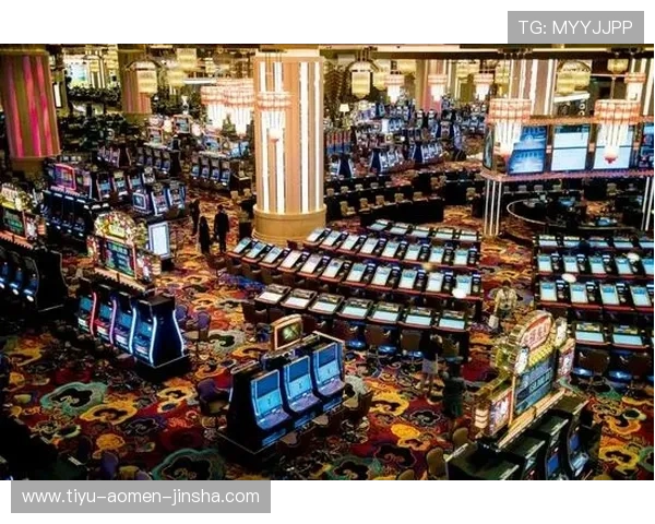 澳门金沙中国娱乐项目全攻略，带你领略多样化的娱乐体验享受极致休闲时光