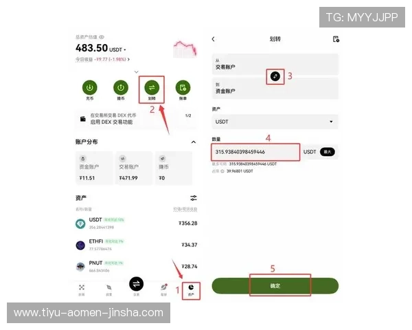 金沙app苹果版下载指南，适合新手玩家的完整操作流程介绍